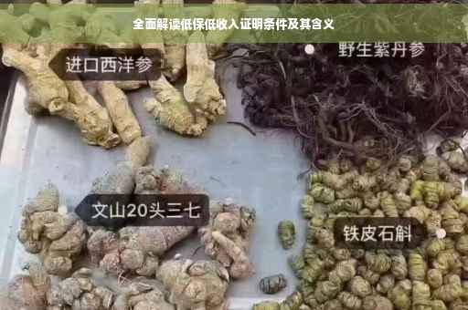 全面解读低保低收入证明条件及其含义
