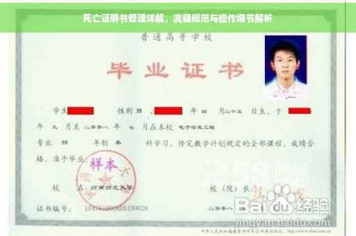 死亡证明书管理详解，流程规范与操作细节解析