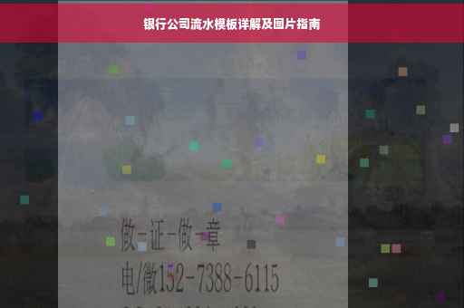 银行公司流水模板详解及图片指南
