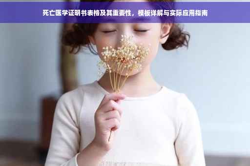 死亡医学证明书表格及其重要性，模板详解与实际应用指南