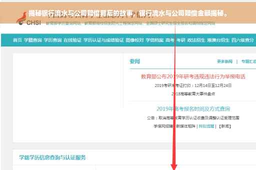 揭秘银行流水与公司赔偿背后的故事，银行流水与公司赔偿金额揭秘。