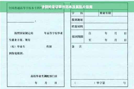法院拍卖证明书范本及其图片指南