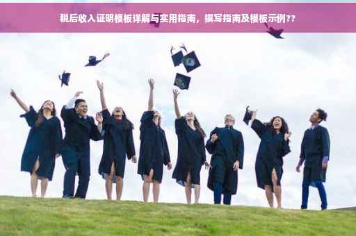 税后收入证明模板详解与实用指南，撰写指南及模板示例??