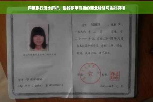 淘宝银行流水解析，揭秘数字背后的商业脉络与金融真相