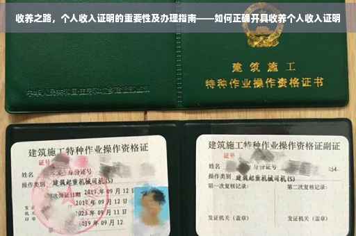 收养之路，个人收入证明的重要性及办理指南——如何正确开具收养个人收入证明