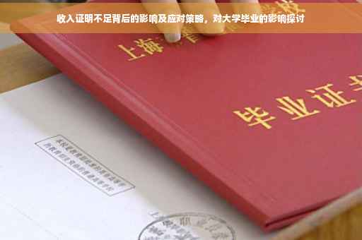 收入证明不足背后的影响及应对策略，对大学毕业的影响探讨