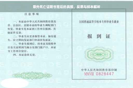 意外死亡证明书背后的真相，反思与样本解析