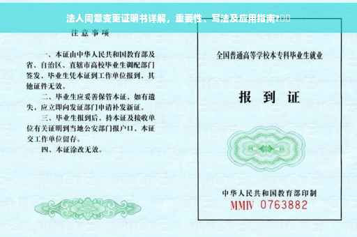 法人同意变更证明书详解，重要性、写法及应用指南?⚡️