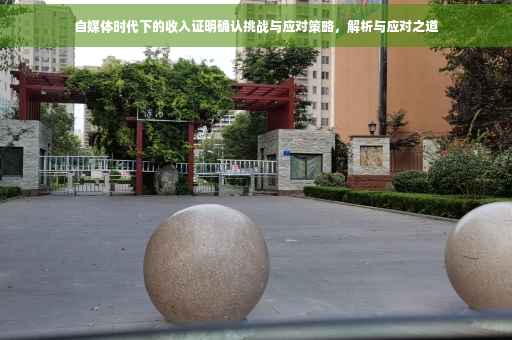 自媒体时代下的收入证明确认挑战与应对策略，解析与应对之道