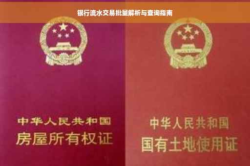银行流水交易批量解析与查询指南