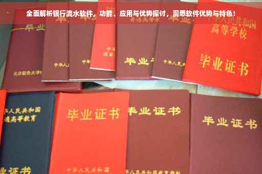 全面解析银行流水软件，功能、应用与优势探讨，洞悉软件优势与特色！