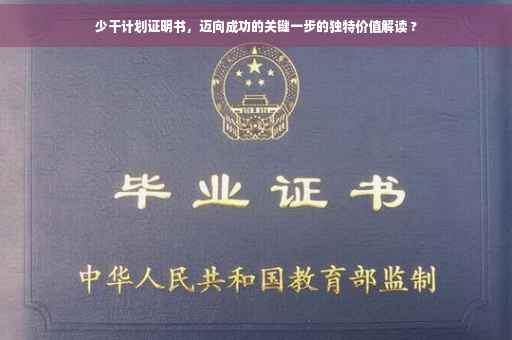 少干计划证明书，迈向成功的关键一步的独特价值解读 ?