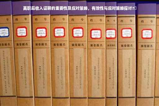 离职后收入证明的重要性及应对策略，有效性与应对策略探讨?✨