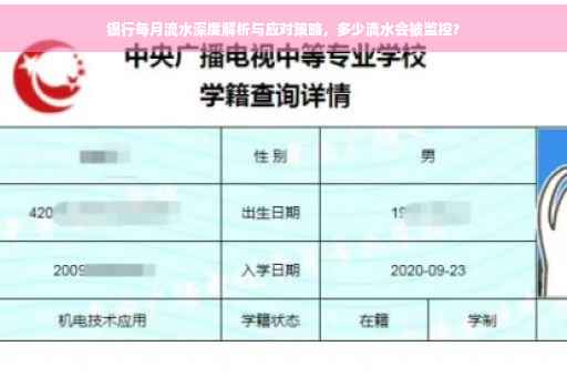 银行每月流水深度解析与应对策略，多少流水会被监控？