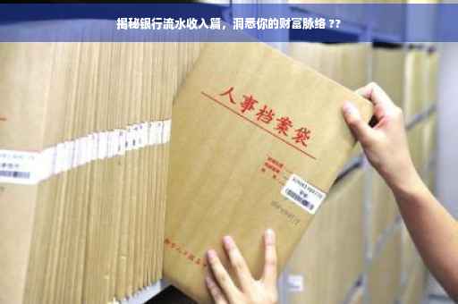 揭秘银行流水收入篇，洞悉你的财富脉络 ??