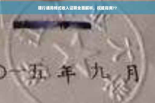 建行通用格式收入证明全面解析，权威指南??