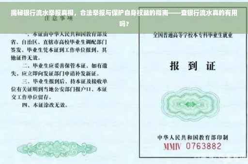 揭秘银行流水举报真相，合法举报与保护自身权益的指南——查银行流水真的有用吗？
