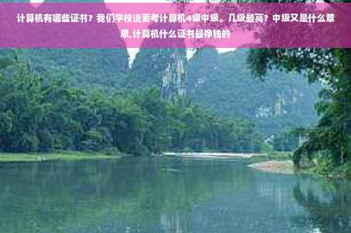 计算机有哪些证书？我们学校说要考计算机4级中级。几级最高？中级又是什么意思,计算机什么证书最挣钱的