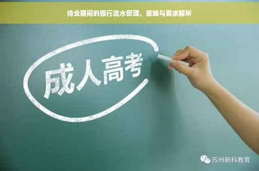 待业期间的银行流水管理，策略与要求解析