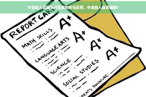 中金收入证明事件深度剖析与反思，中金收入报告揭秘?