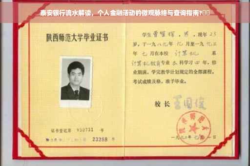 泰安银行流水解读，个人金融活动的微观脉络与查询指南?⚡️