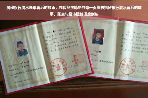揭秘银行流水账单背后的故事，窥探经济脉络的每一页细节揭秘银行流水背后的故事，账单与经济脉络深度剖析