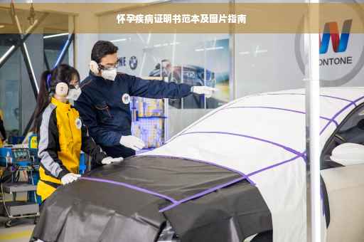 怀孕疾病证明书范本及图片指南
