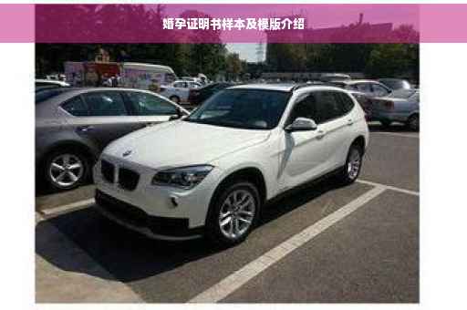 婚孕证明书样本及模版介绍