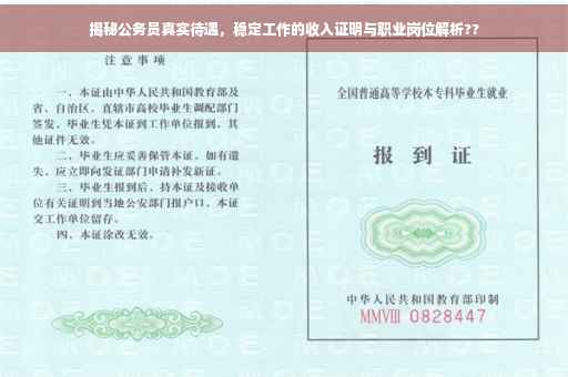 揭秘公务员真实待遇，稳定工作的收入证明与职业岗位解析??