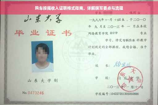 购车按揭收入证明格式指南，详解撰写要点与流程