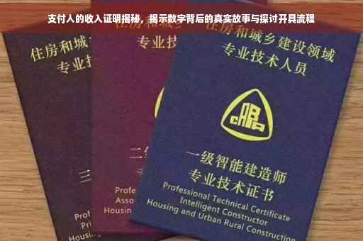 支付人的收入证明揭秘，揭示数字背后的真实故事与探讨开具流程