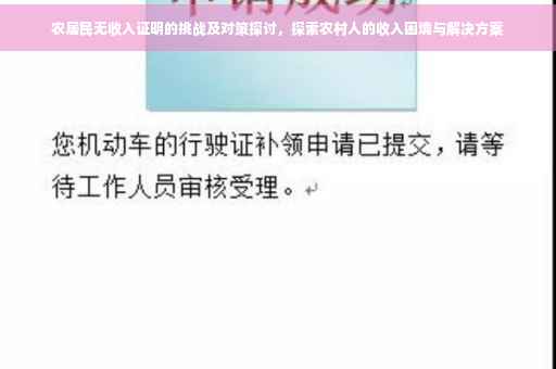 农居民无收入证明的挑战及对策探讨，探索农村人的收入困境与解决方案