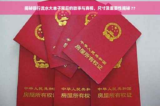 揭秘银行流水大单子背后的故事与真相，尺寸及重要性揭秘 ??
