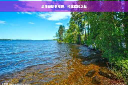 品质证明书模板，构建信赖之基