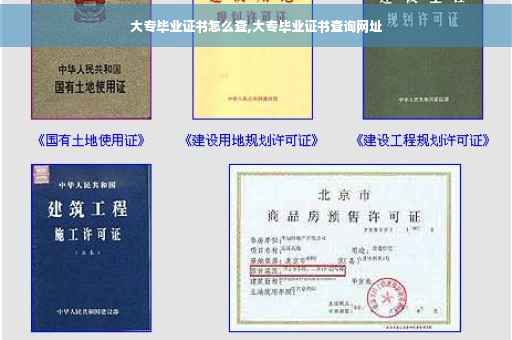 大专毕业证书怎么查,大专毕业证书查询网址