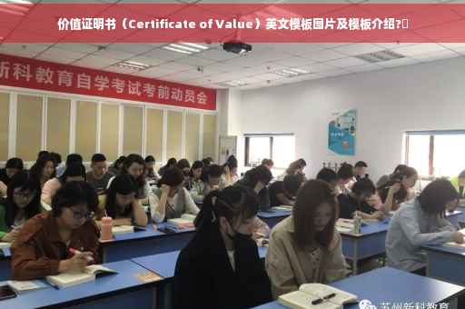 价值证明书（Certificate of Value）英文模板图片及模板介绍?✨