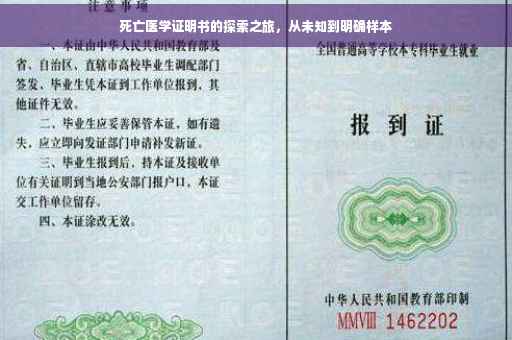 死亡医学证明书的探索之旅，从未知到明确样本