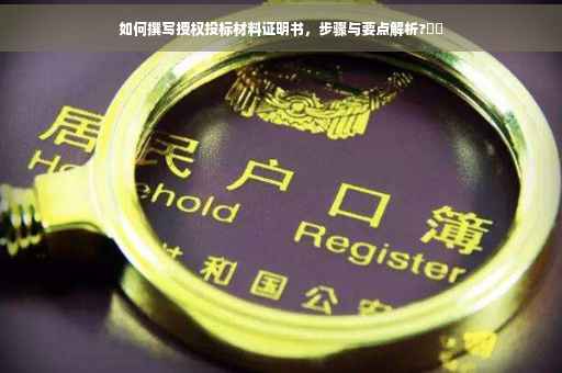如何撰写授权投标材料证明书，步骤与要点解析?⚡️