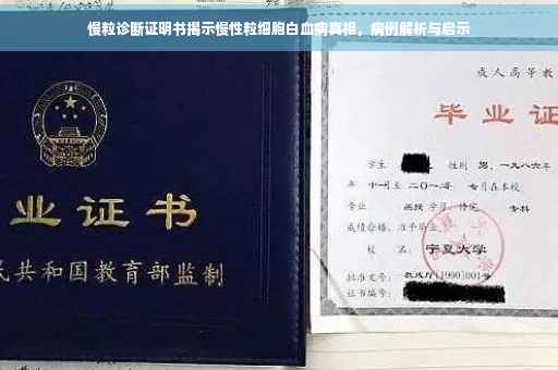 慢粒诊断证明书揭示慢性粒细胞白血病真相，病例解析与启示