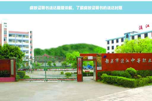 病故证明书送达期限详解，了解病故证明书的送达时限