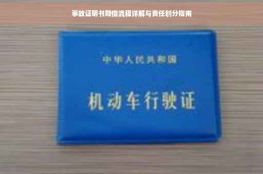 事故证明书赔偿流程详解与责任划分指南