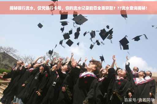揭秘银行流水，仅凭银行卡号，你的流水记录能否全面获取？??流水查询揭秘！