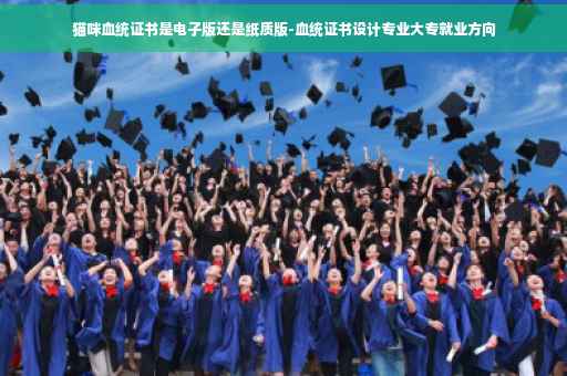 猫咪血统证书是电子版还是纸质版-血统证书设计专业大专就业方向