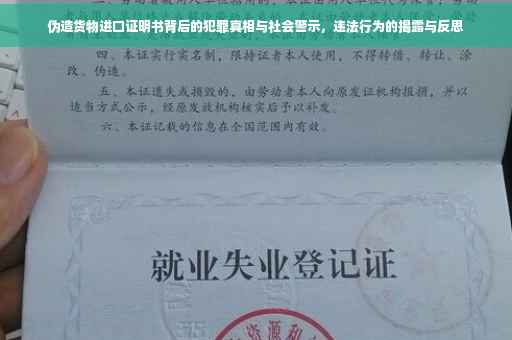 伪造货物进口证明书背后的犯罪真相与社会警示，违法行为的揭露与反思