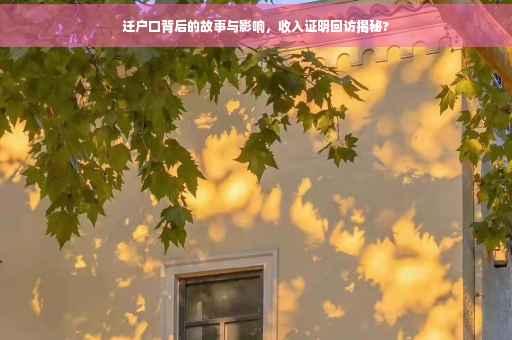 迁户口背后的故事与影响，收入证明回访揭秘?