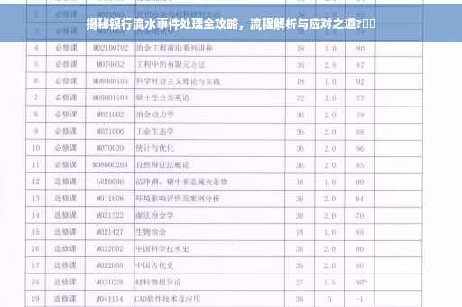 揭秘银行流水事件处理全攻略，流程解析与应对之道?⚡️