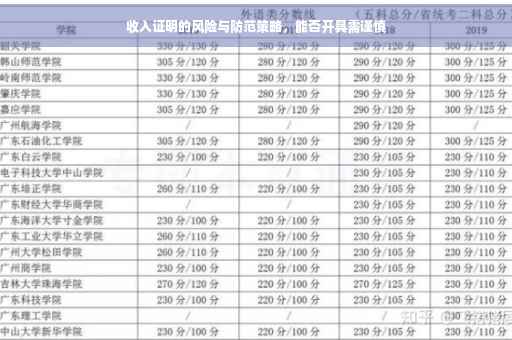收入证明的风险与防范策略，能否开具需谨慎