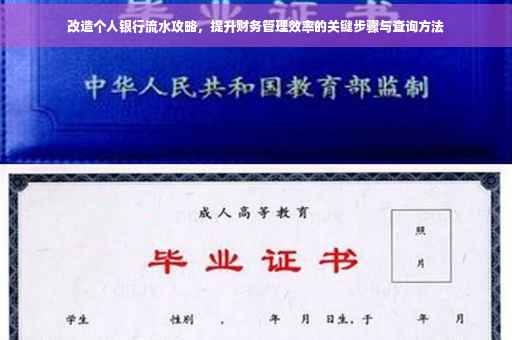改造个人银行流水攻略，提升财务管理效率的关键步骤与查询方法
