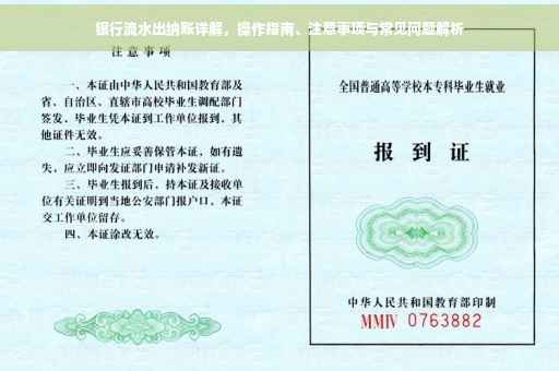 银行流水出纳账详解，操作指南、注意事项与常见问题解析