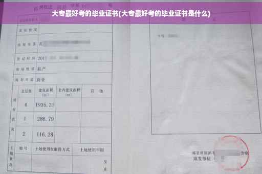 大专最好考的毕业证书(大专最好考的毕业证书是什么)